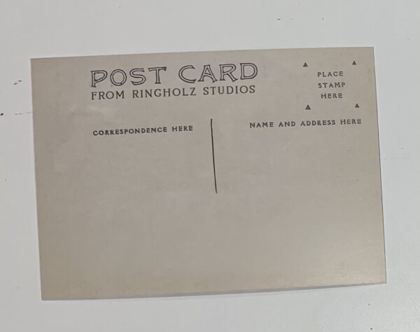12 POSTCARDS ~ NEW! from bingley studios.
