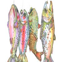 Vibrant hand-drawn trout lineup with spots