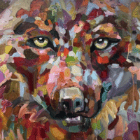 Vibrant abstract wolf portrait with 2026 title