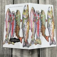 Colorful trout art print leaning on wood