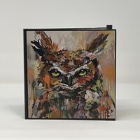 Colorful abstract owl painting on white wall